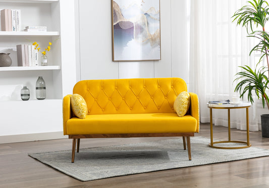 Modern Velvet Loveseat Sofa