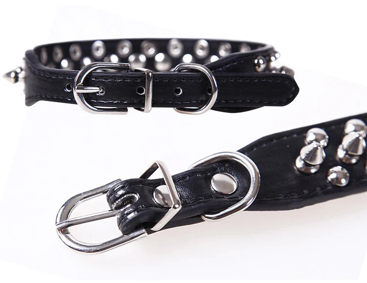 Spiked and Tough Dog Collar