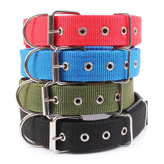 Solid & Durable Nylon Dog Collars For Dogs of All Sizes.