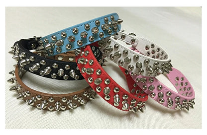 Spiked and Tough Dog Collar