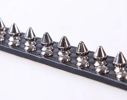 Spiked and Tough Dog Collar