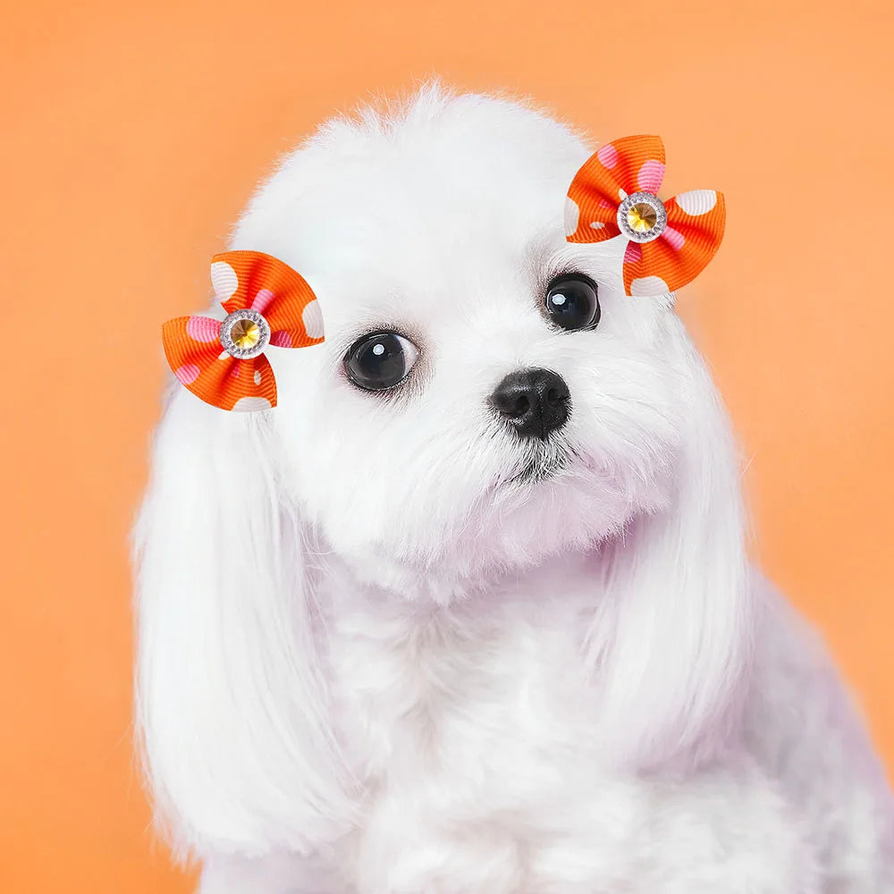 20-30pcs Dog Hair Bows