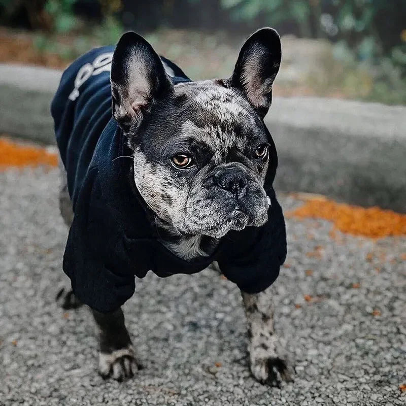 The Dog Face Hoodie