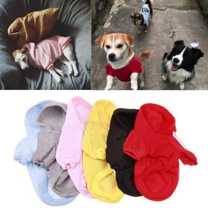 Adidog Dog Hoodies for all year long.