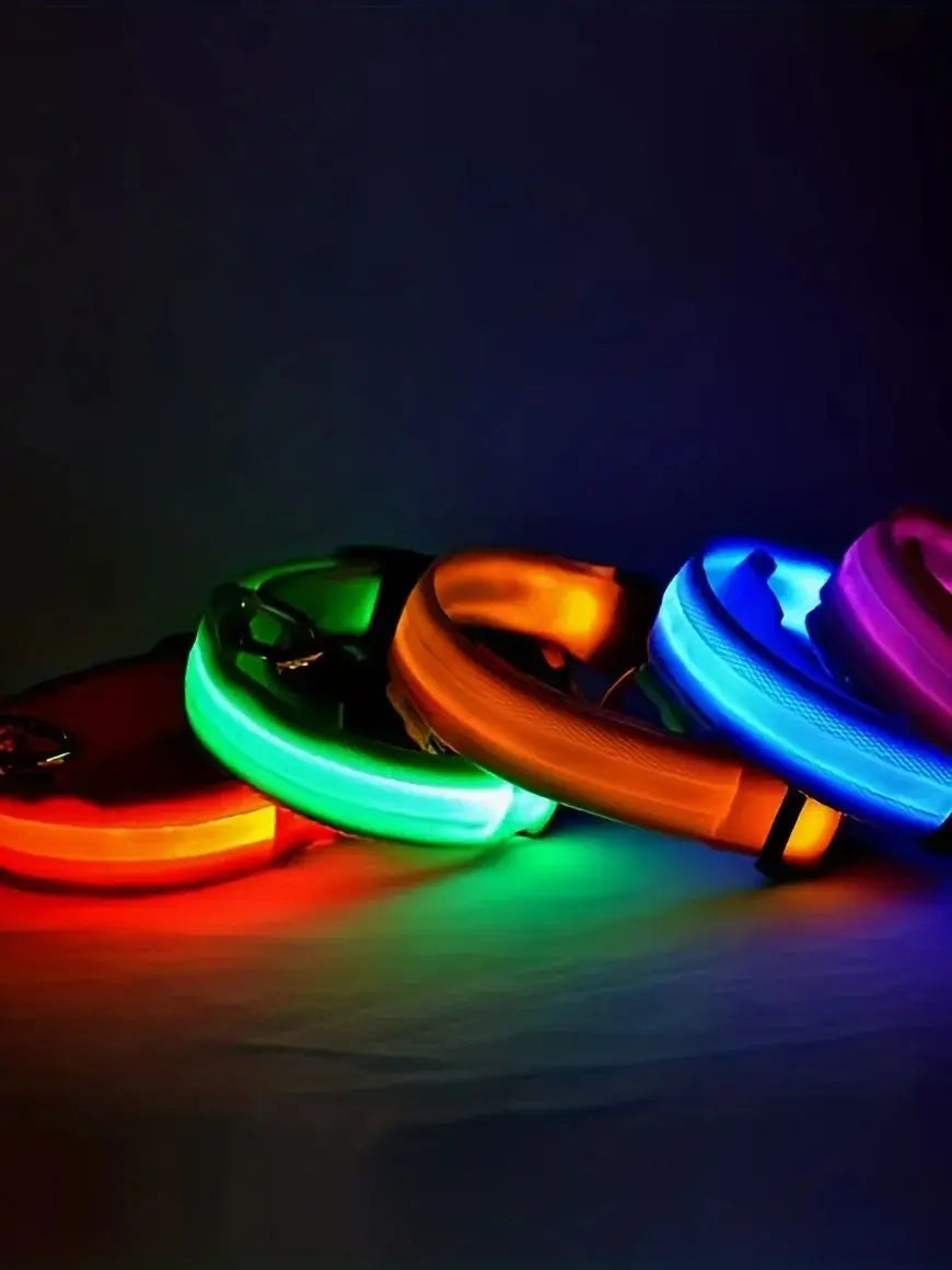 Reflective LED Dog Collar - Ideal for Small to Medium Breeds