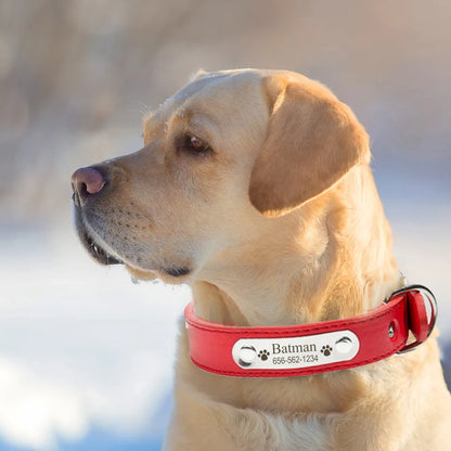 Personalized Leather Dog Collar