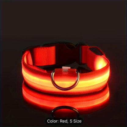 Reflective LED Dog Collar - Ideal for Small to Medium Breeds