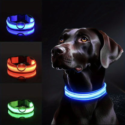 Reflective LED Dog Collar - Ideal for Small to Medium Breeds